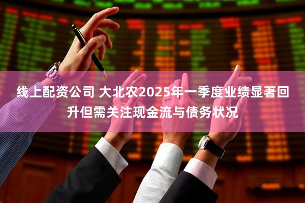 线上配资公司 大北农2025年一季度业绩显著回升但需关注现金流与债务状况