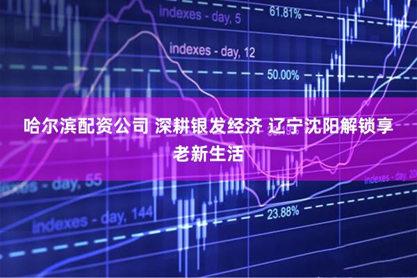 哈尔滨配资公司 深耕银发经济 辽宁沈阳解锁享老新生活